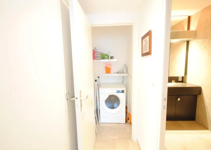 Gray D'albion 2p Liu5376